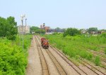CP 8800